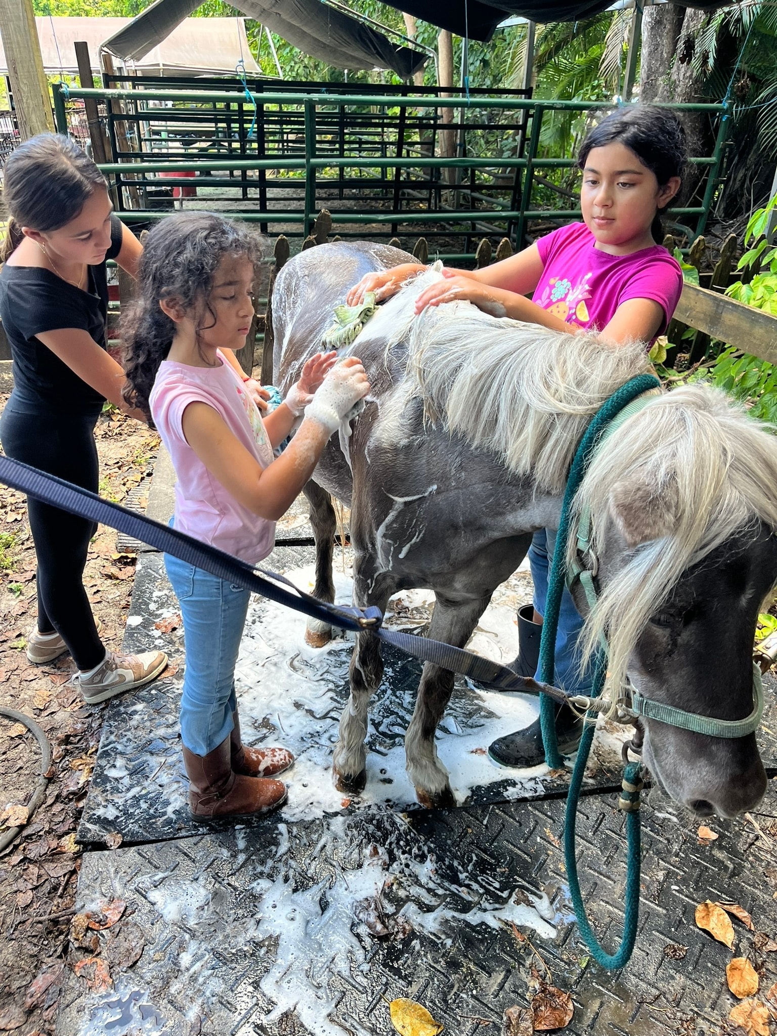 Young girl in costume petting a palomino horse in the barn