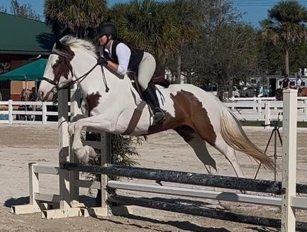 Rider jumping a fence obstacle